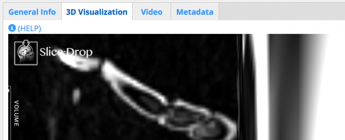 microct video rotate 3d reconstructed image
