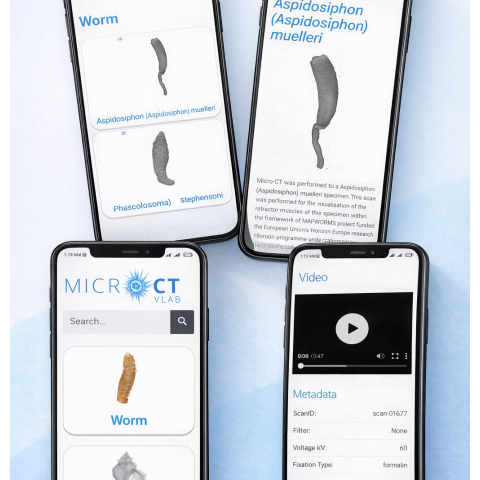 MicroCT WebApp mobile screens